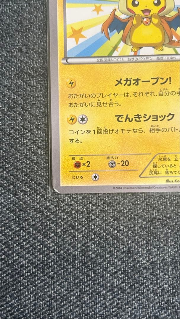 早い者勝ち！メガトウキョーのピカチュウ