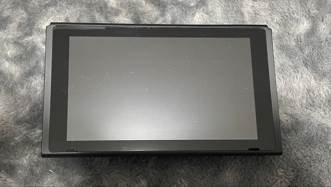 Nintendo Switch 本体 グレー (美品)プロコン付き