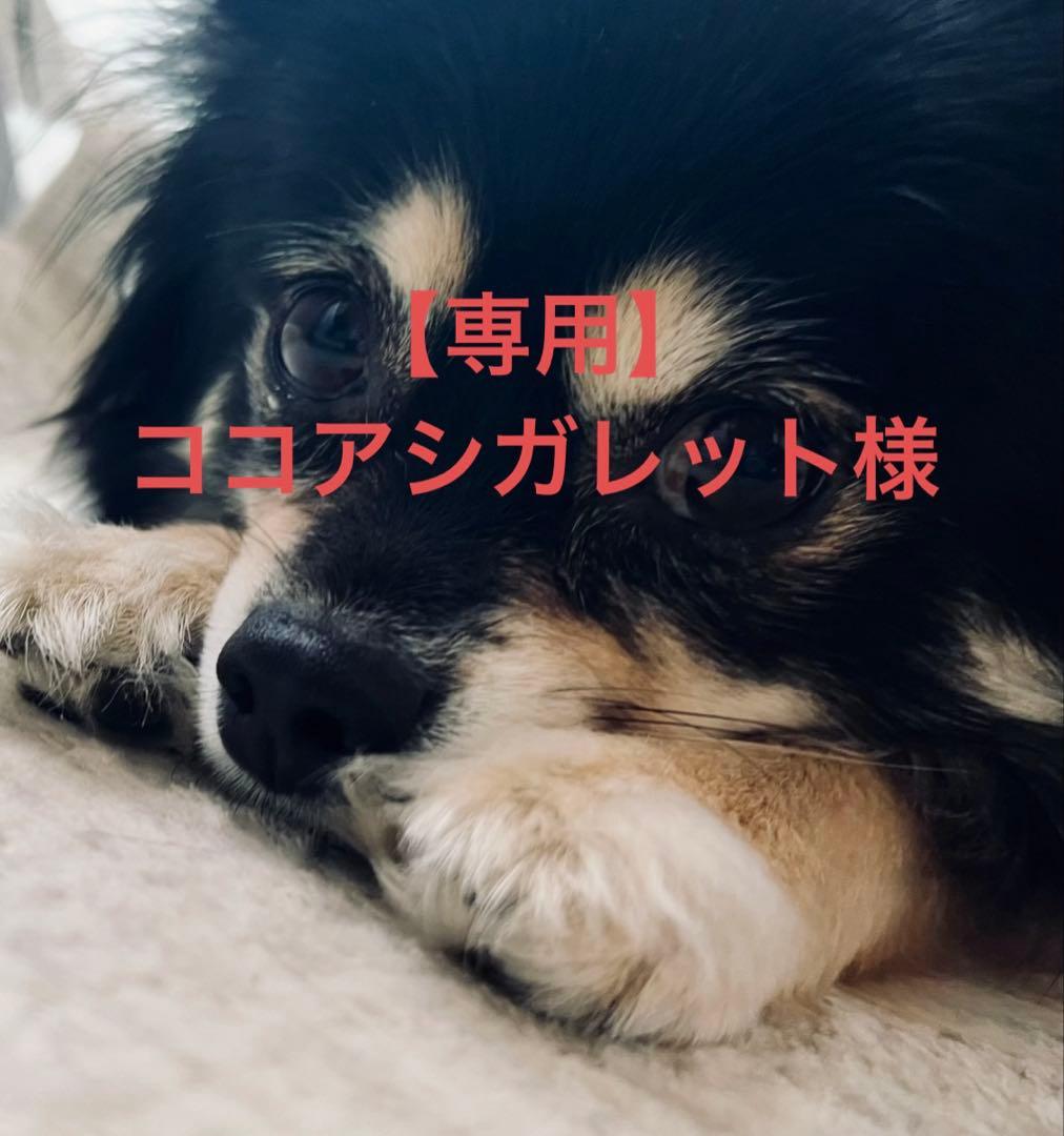 【専用】ココアシガレット