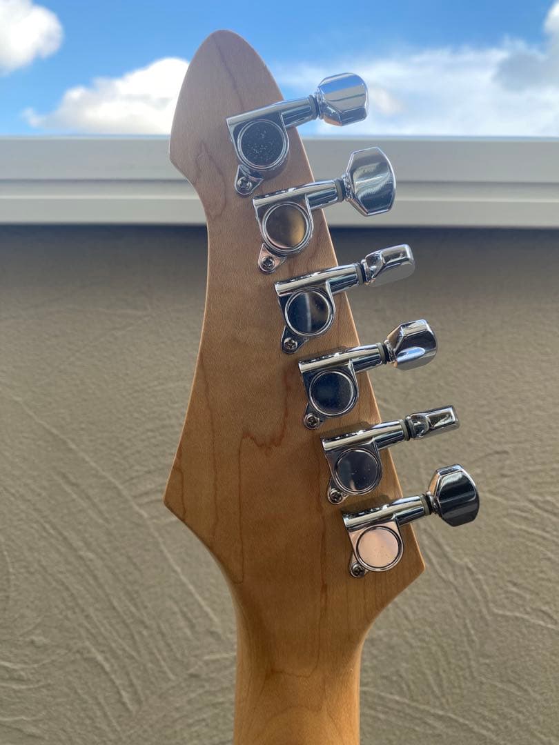 aria pro ii MAC STD/SSH(アリアプロⅡ)