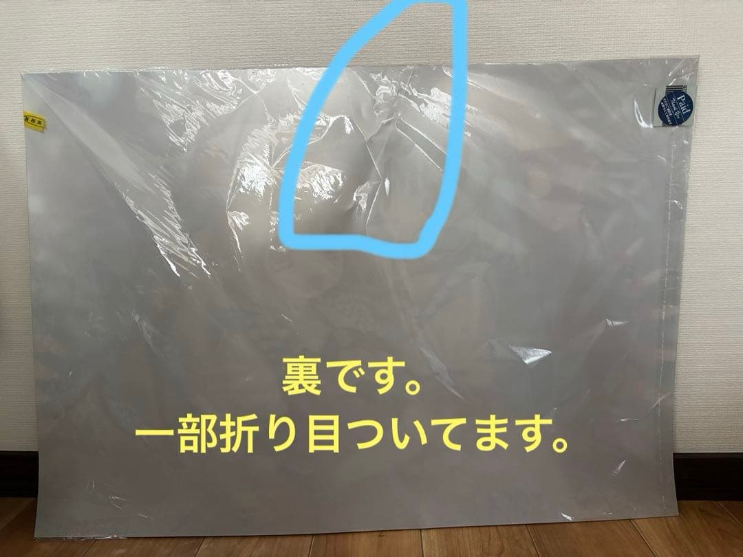 訳あり 東方Project 特大3Dポスター