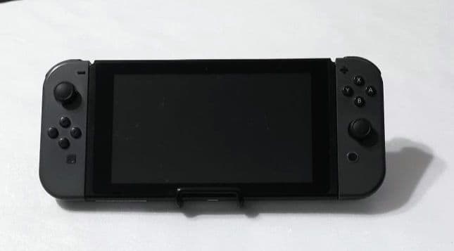 NintendoSwitchグレー