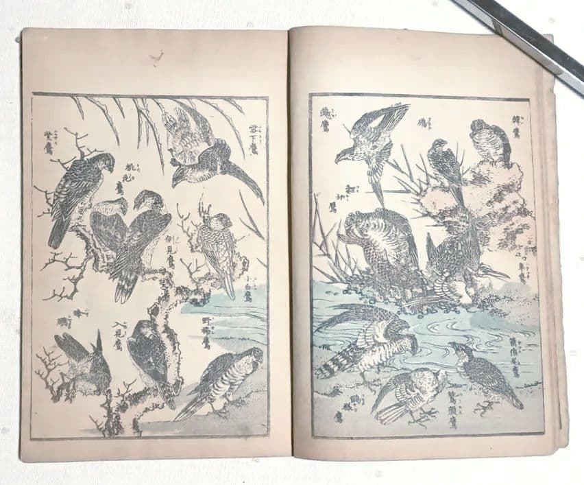 北斎画宛二編（色摺版画本)葛飾北斎画明治初期後摺再板になります（初版は天保3年)