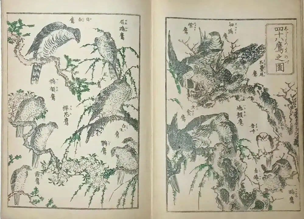 北斎画宛二編（色摺版画本)葛飾北斎画明治初期後摺再板になります（初版は天保3年)