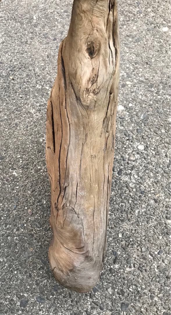 30年前に拾って乾燥させてあった流木