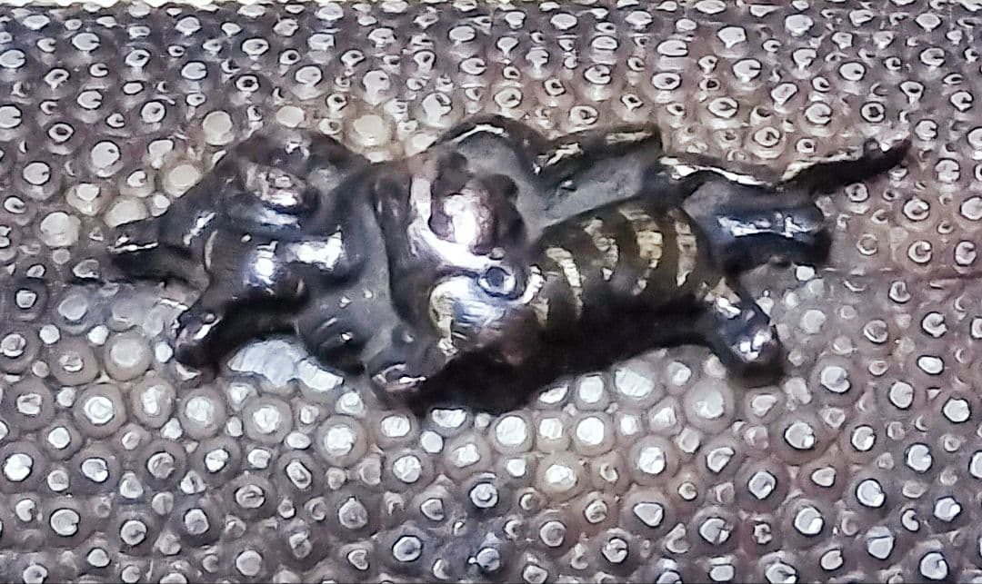 日本刀 脇差 江戸時代 「拵」（鍔・つなぎのオマケ付）