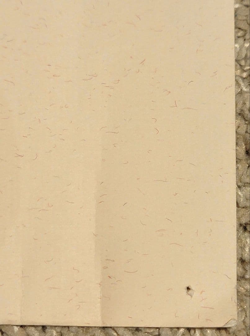 天空の城ラピュタ　ポスター［C］