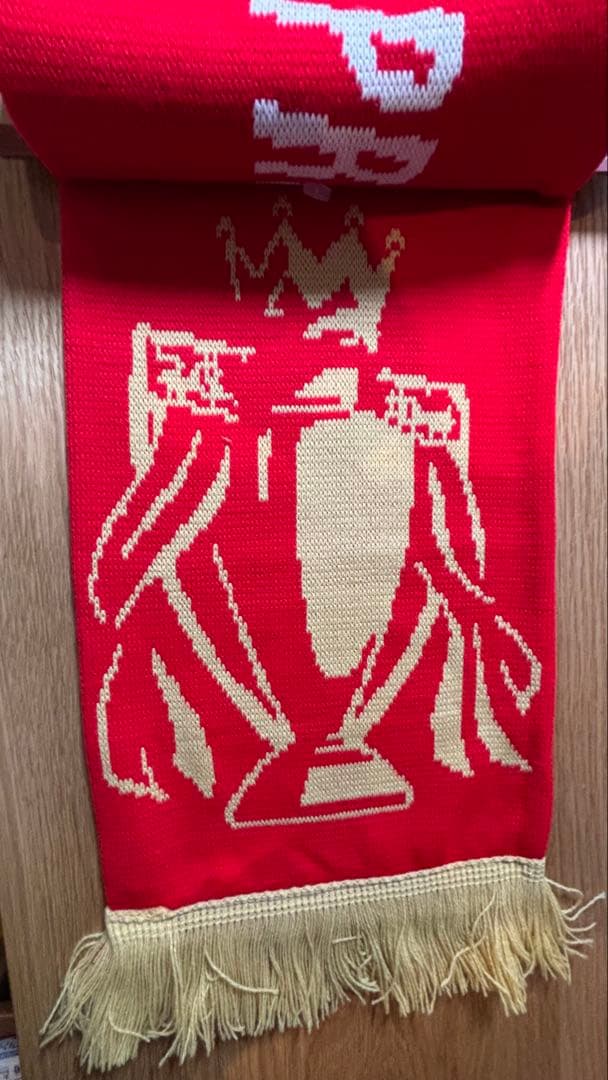 【優勝記念品/日本未発売】 リバプール チャンピオン 24/25