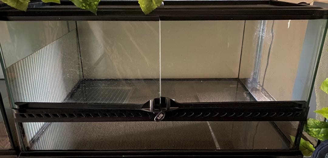 エキゾテラ GEX EXOTERRA グラステラリウム6030