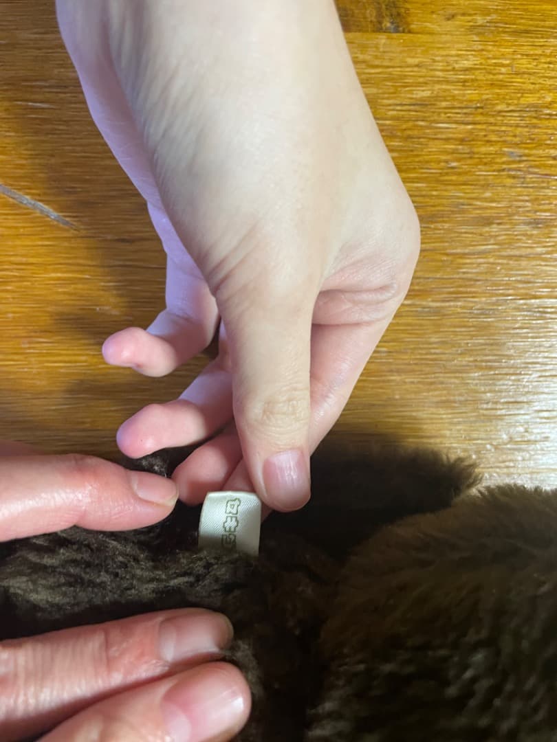 モンチッチJapan