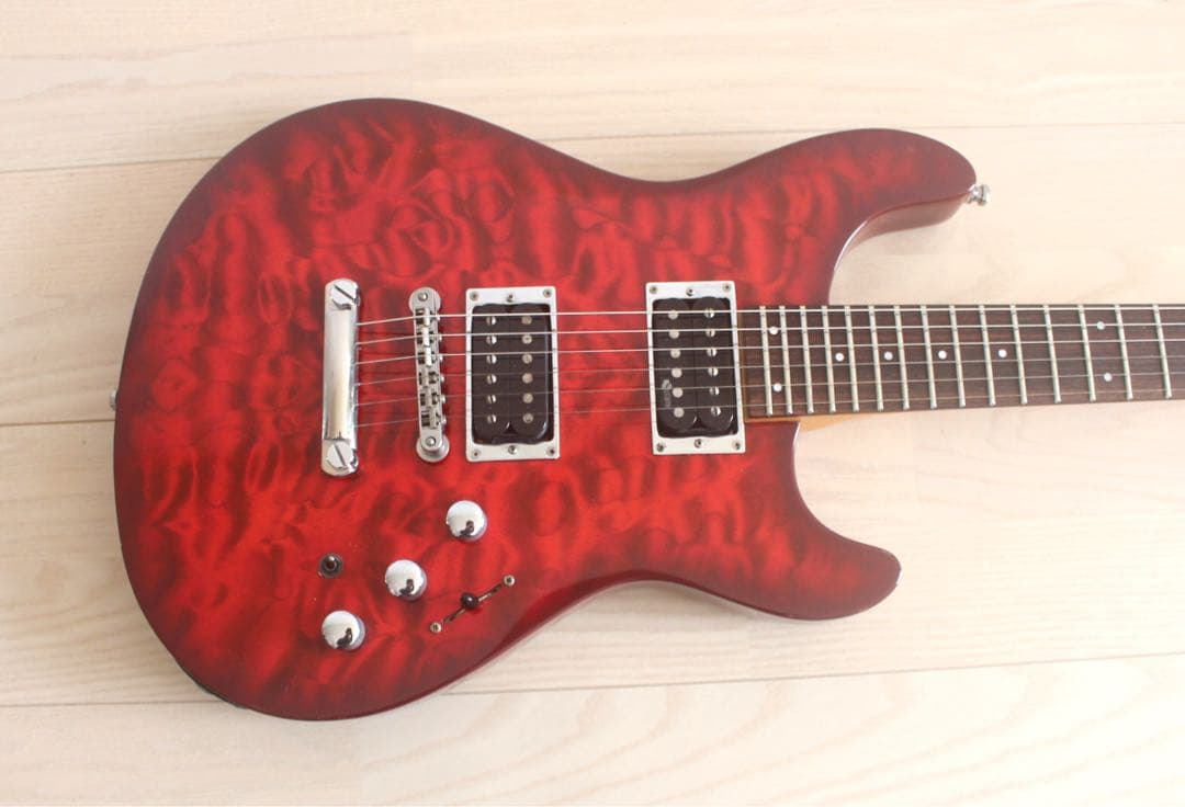 Fernandes APG-65S サスティナー搭載