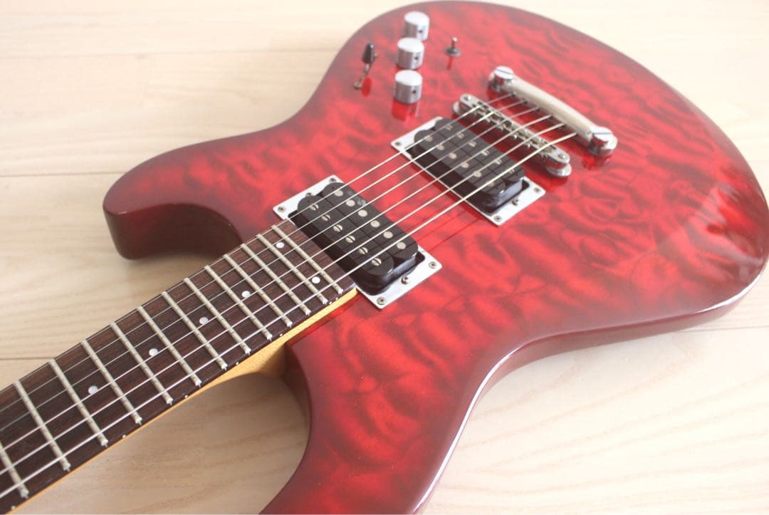 Fernandes APG-65S サスティナー搭載