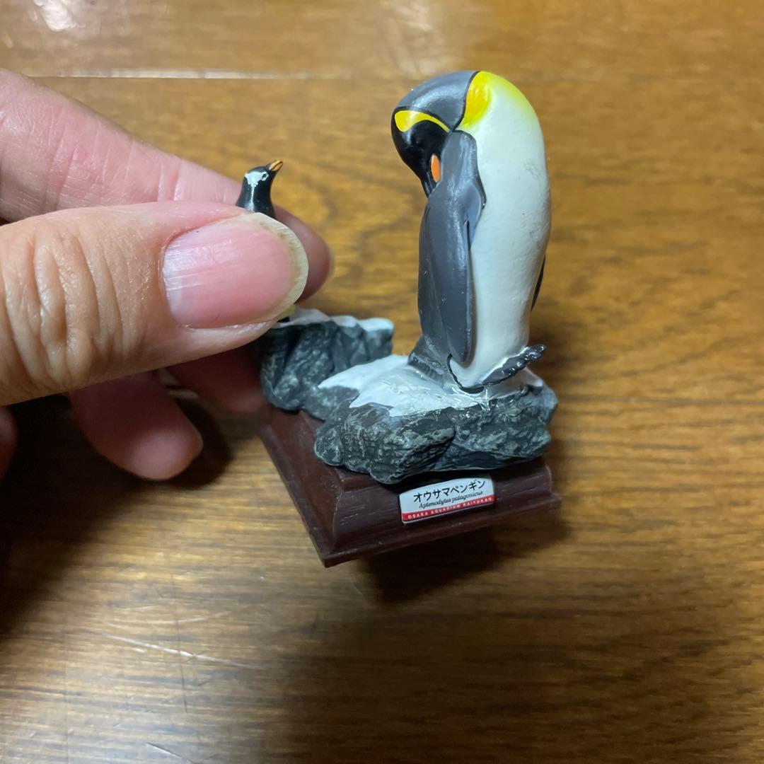 【海遊館限定】　海遊館ガチャガチャ　オニイトマキエイ　アオウミガメ