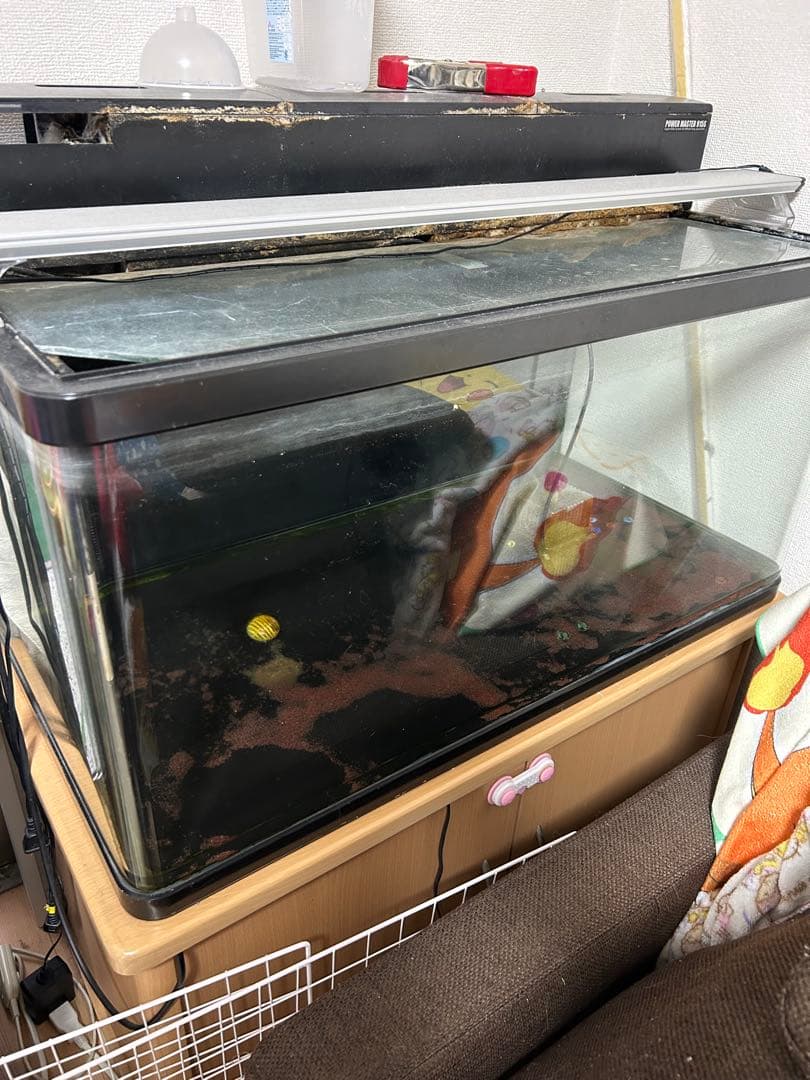 ニッソー90cm水槽と水槽台