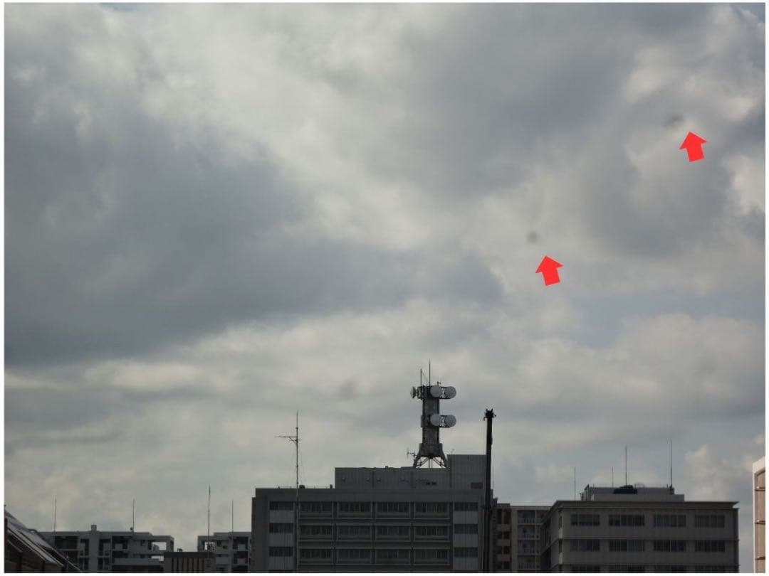 SONYソニーCyber shot DSC W570デジタルカメラ【動作確認済】