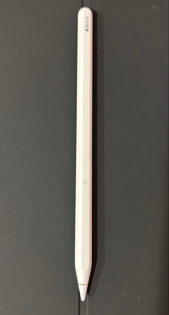 iPad Pro 12.9 第6世代 512GB+ Apple Pencil 2