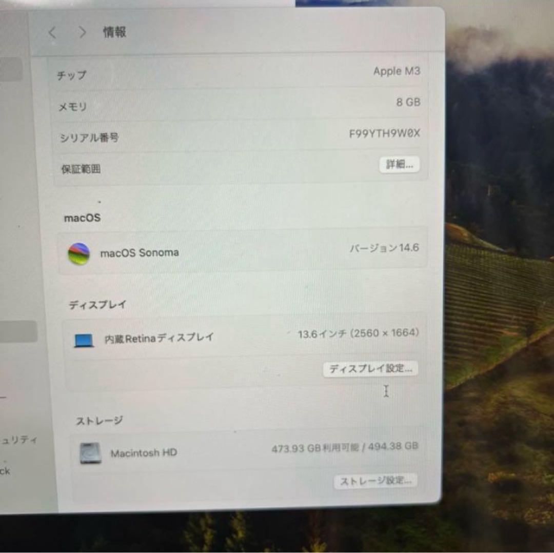 Macbook air m3 13 インチ 8GB/512GB Blue