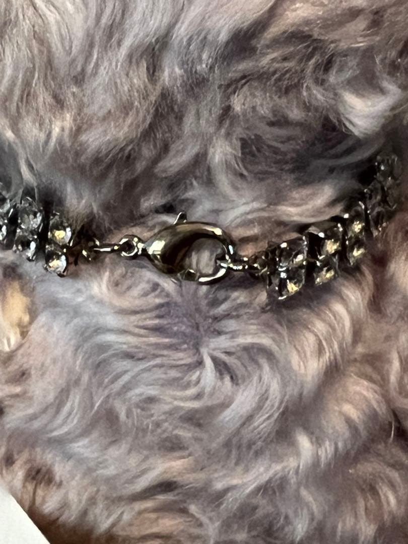 新品未使用　Steiff シュタイフ　お洒落ベア