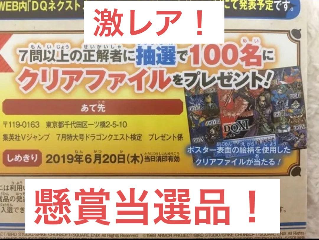 【超希少！100名限定】 ドラクエ 33rd Anniversary