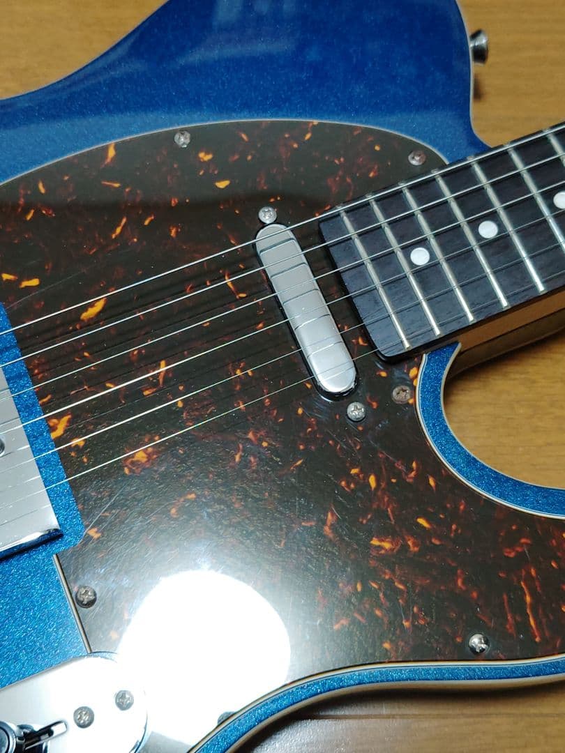 Bacchus テレキャスター ダブルバインドボディ