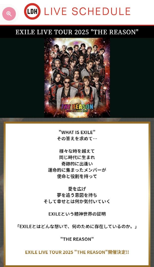 ☆☆　EXILE THE REASON ライブグッズセット