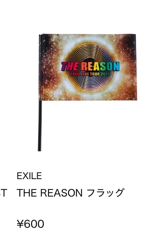 ☆☆　EXILE THE REASON ライブグッズセット