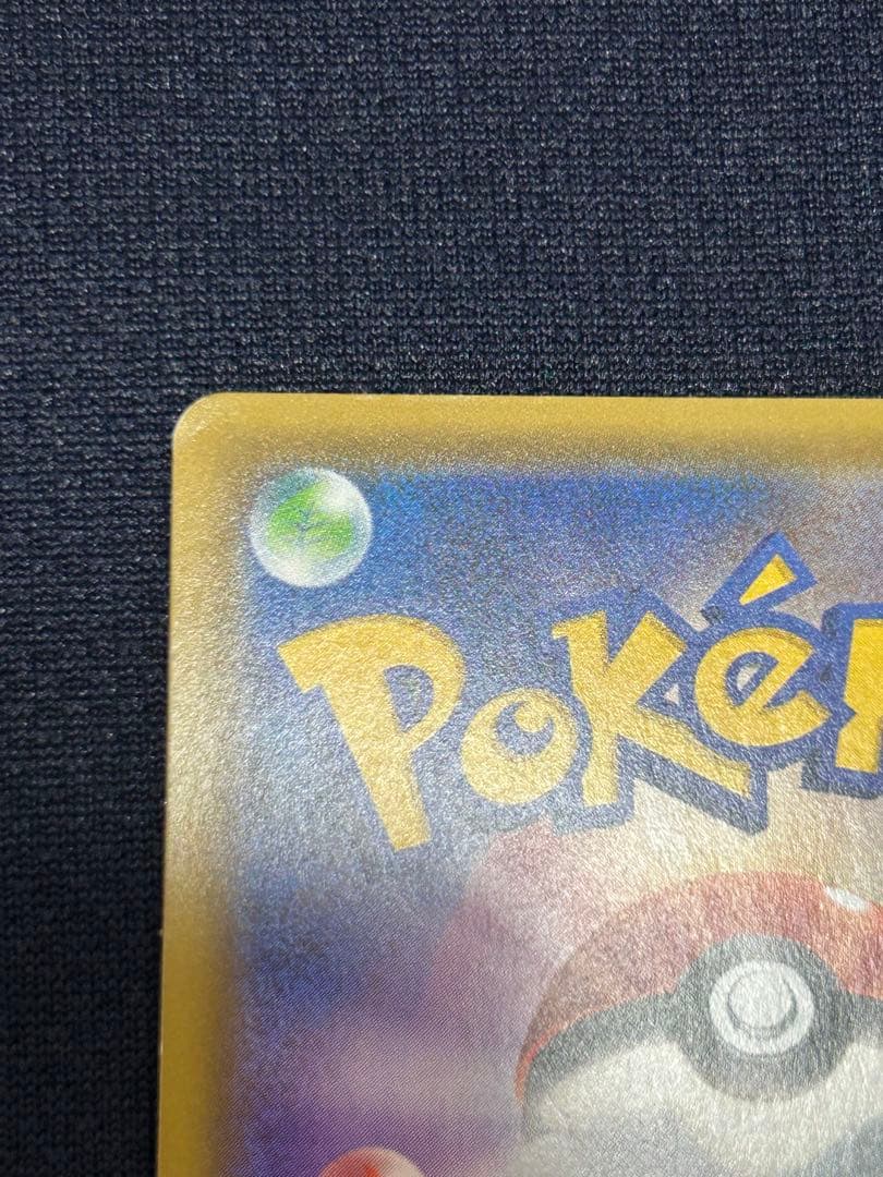 ポケモンカード ポケカ エリカのおもてなし SR