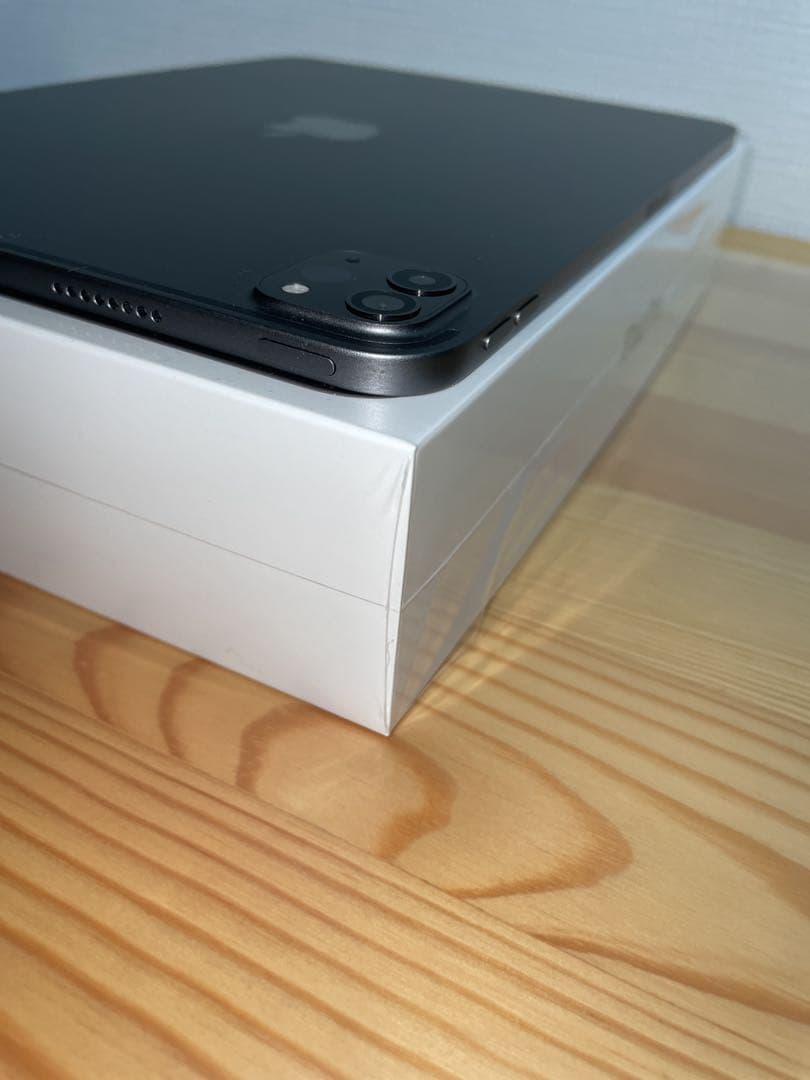 iPad Pro 11インチ M1 Wi-Fi 2TB