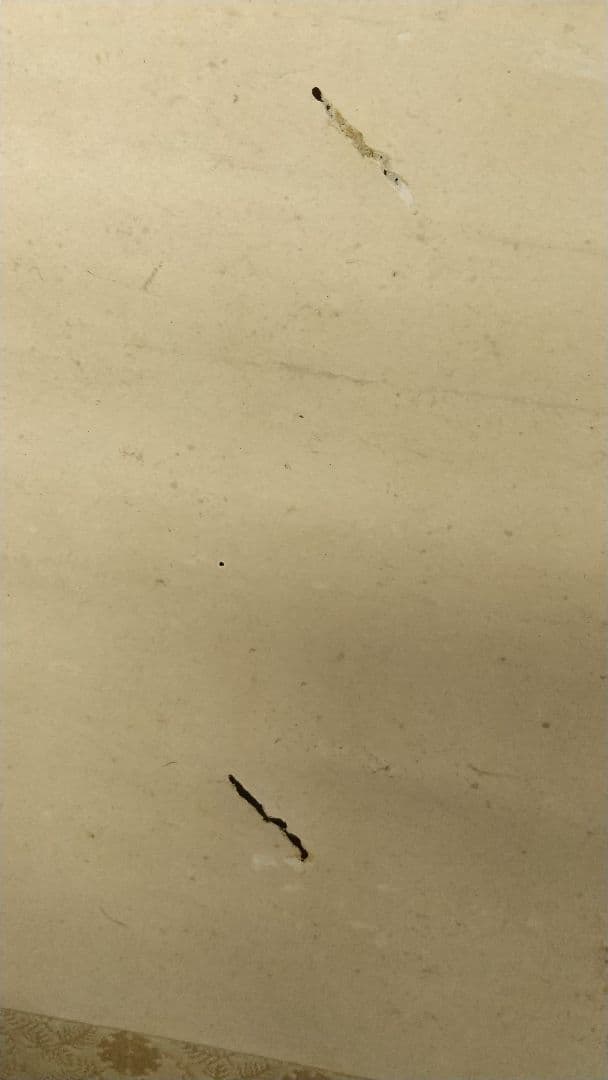 酒井抱一 桃節句 紙本 掛軸 虫食い傷み目立つ 琳派