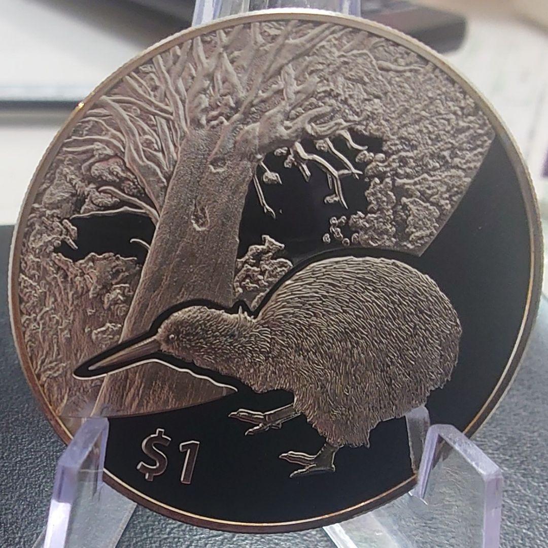 2013年 ニュージーランド銀貨 1ドル キーウィ銀貨 SV999 純銀1オンス