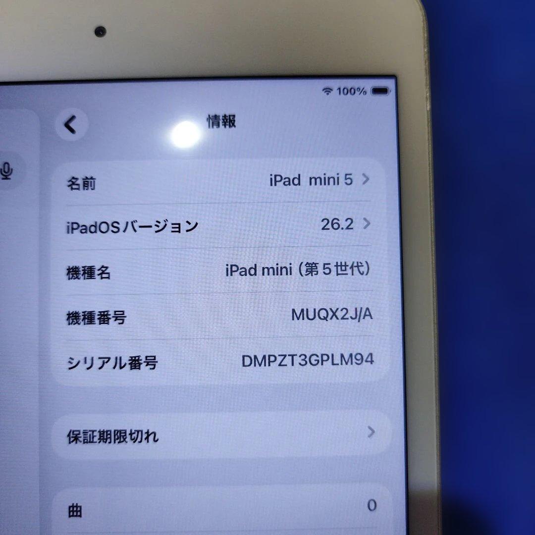 iPad mini 5 64GB Wifiモデル