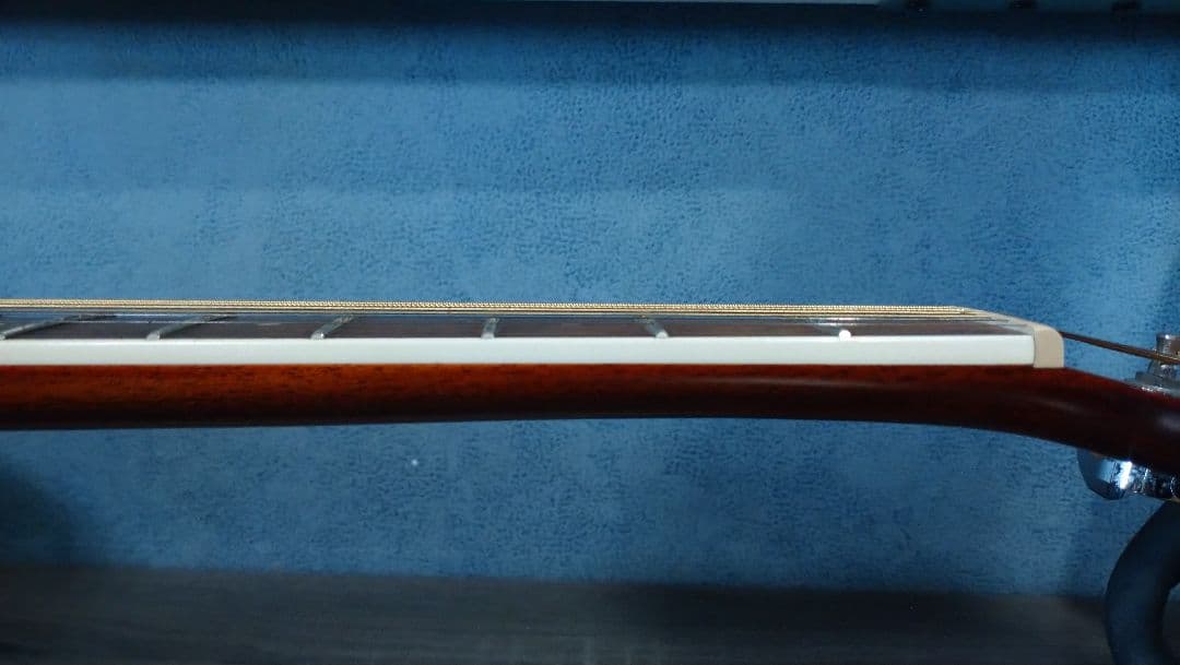 Washburn d10sce　エレアコ