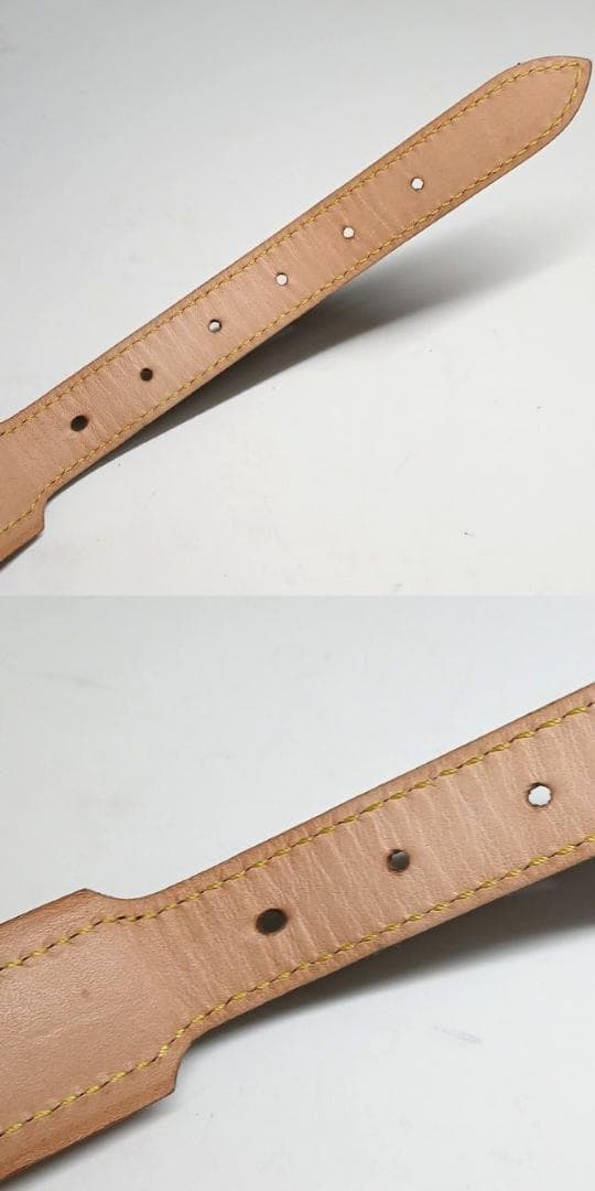 トニー&ロビー様首輪 大型犬 コリエバクスターGM ドッグカラー 廃盤品②