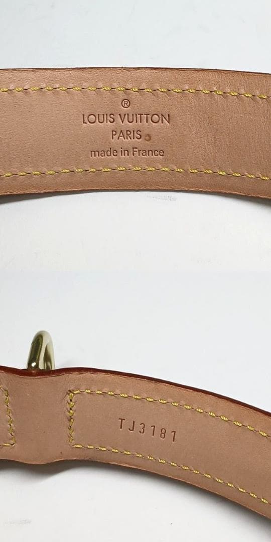 トニー&ロビー様首輪 大型犬 コリエバクスターGM ドッグカラー 廃盤品②