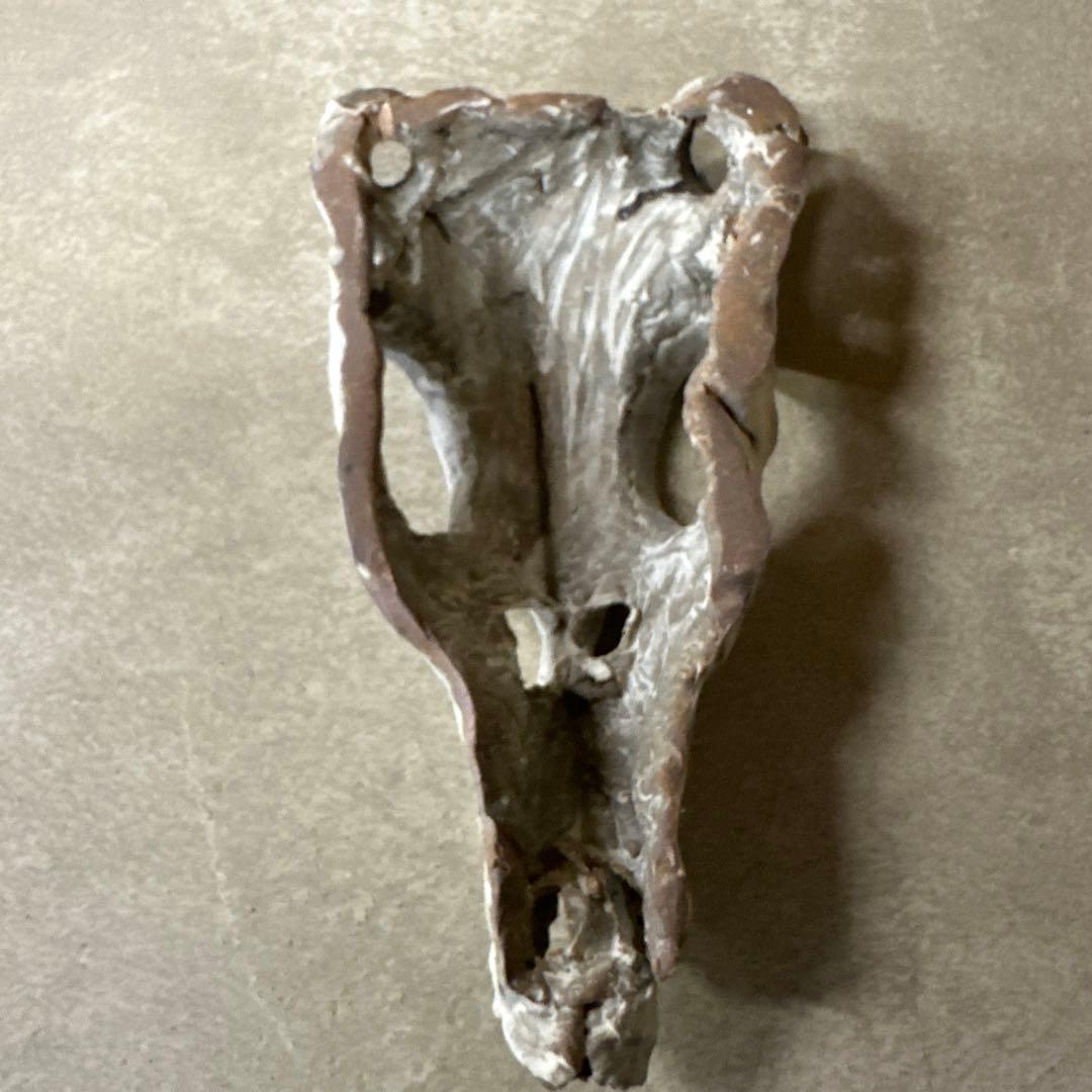 入手困難⭐︎ハンティングトロフィー　陶器製　鹿　角　オブジェ