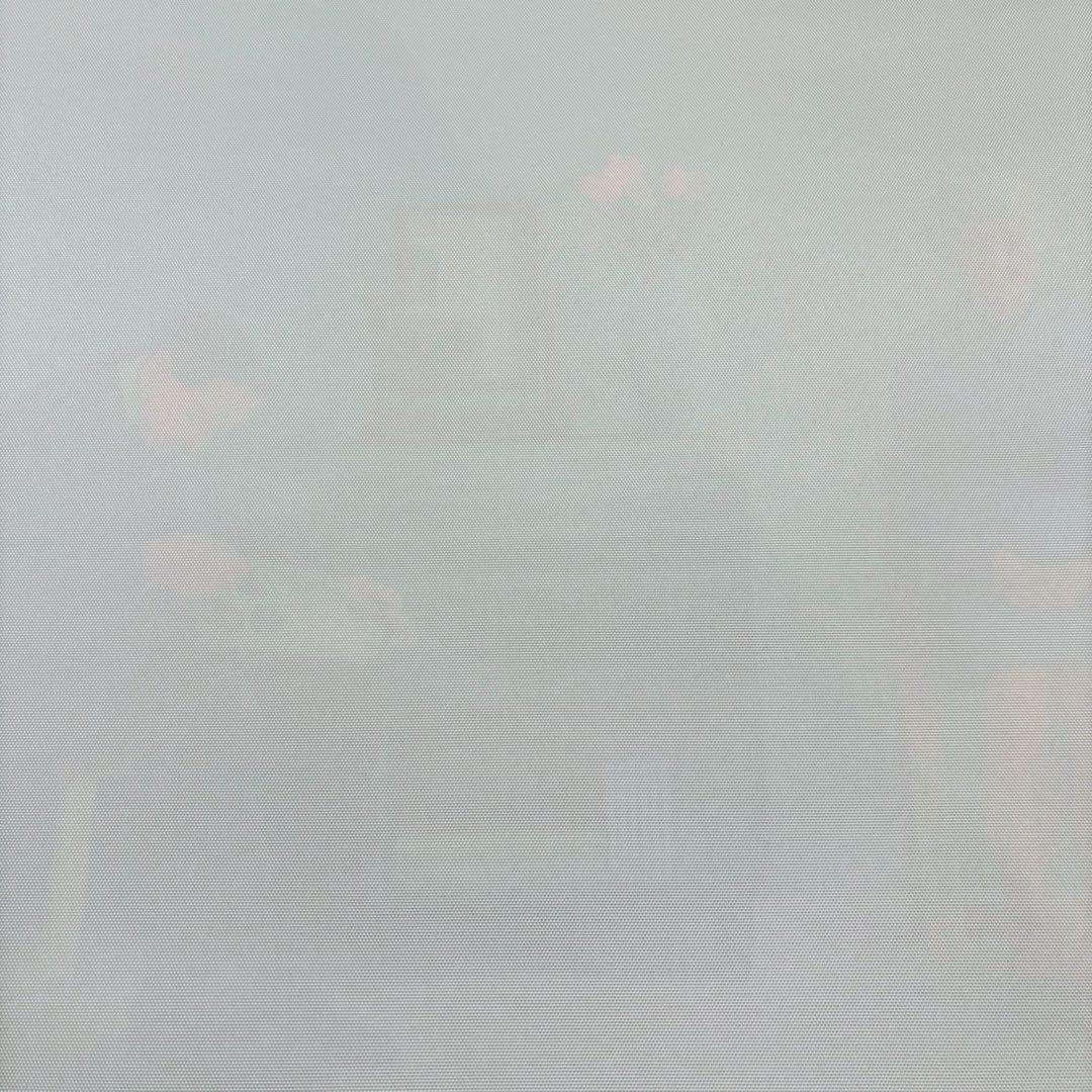 専用出品【額付50cm×50cmポスター】デイヴィッド・ホックニー 「両親」