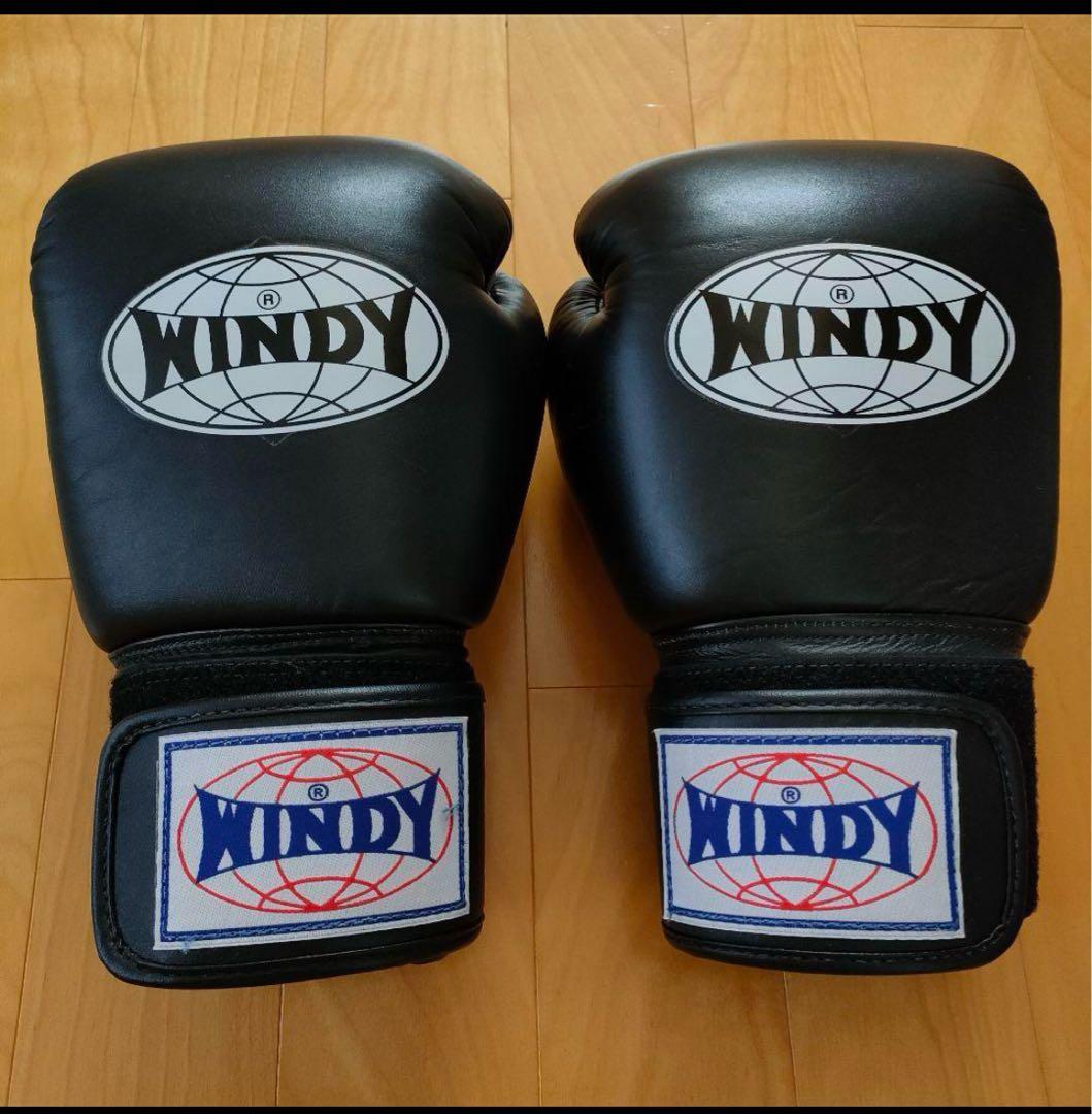 WINDY グローブ 14 oz