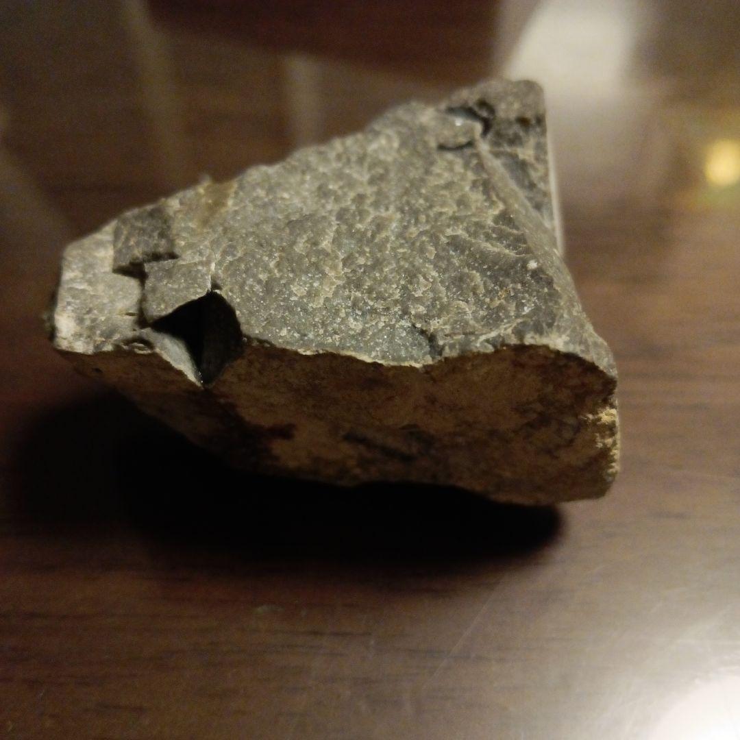 三葉虫モロッコ産⑨ファコプスPhacopsリードプスReedops？化石デボン紀