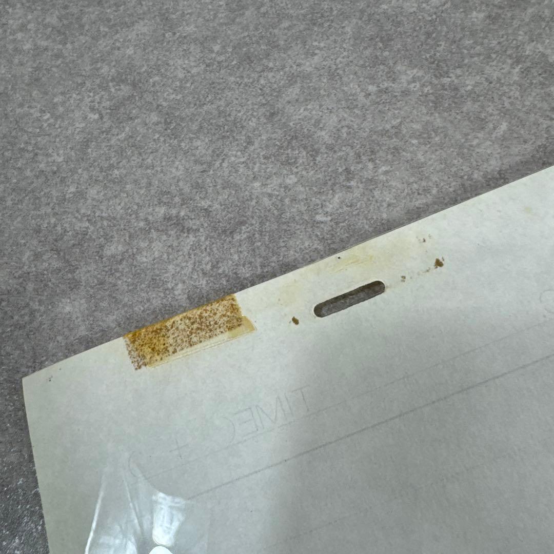 希少 おもひでぽろぽろ 岡島タエ子 セル画 C5 スタジオジブリ