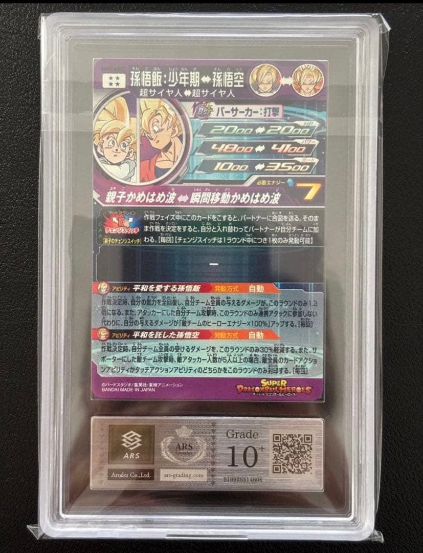 【ARS10+(最高評価)鑑定書付】 孫悟飯:少年期　MM1-ASEC