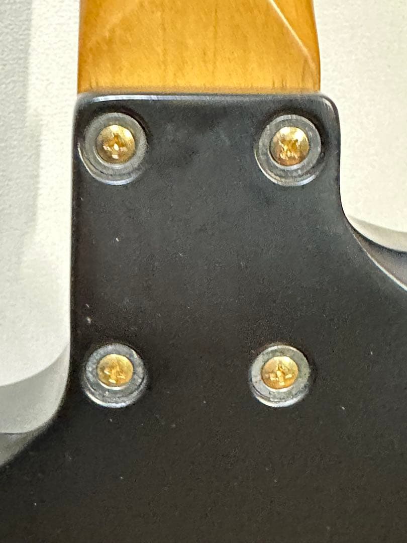 B*i様 FERNANDES フェルナンデス　Burny mg-125s 後期