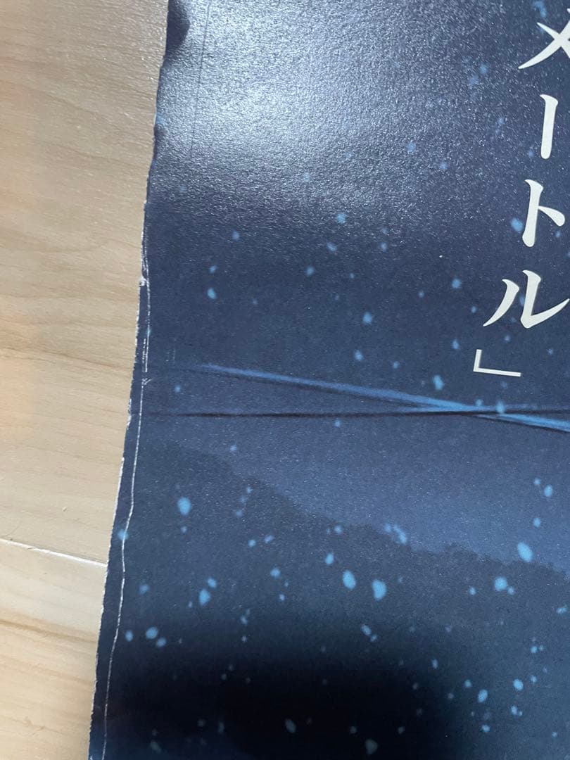 秒速5センチメートル　ポスター　B2サイズ