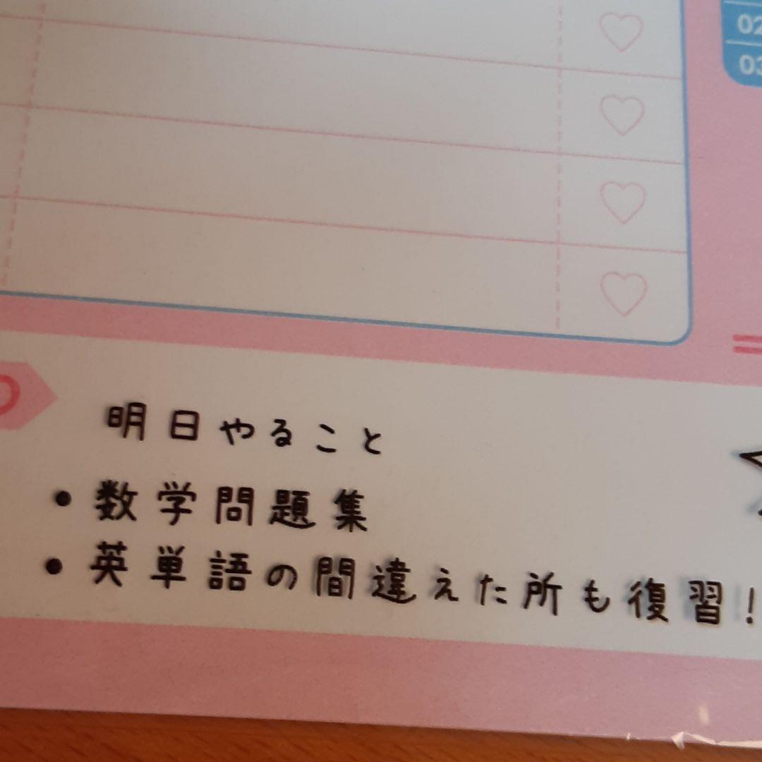 ❤計画好き(❁ᴗ͈ˬᴗ͈)新品　スタディープランナー用紙
