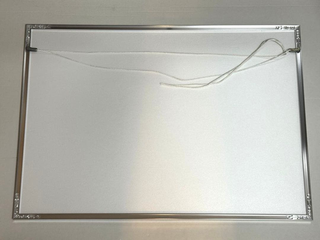 【世界に1枚 直筆サイン】コブクロ 額縁入りポスター