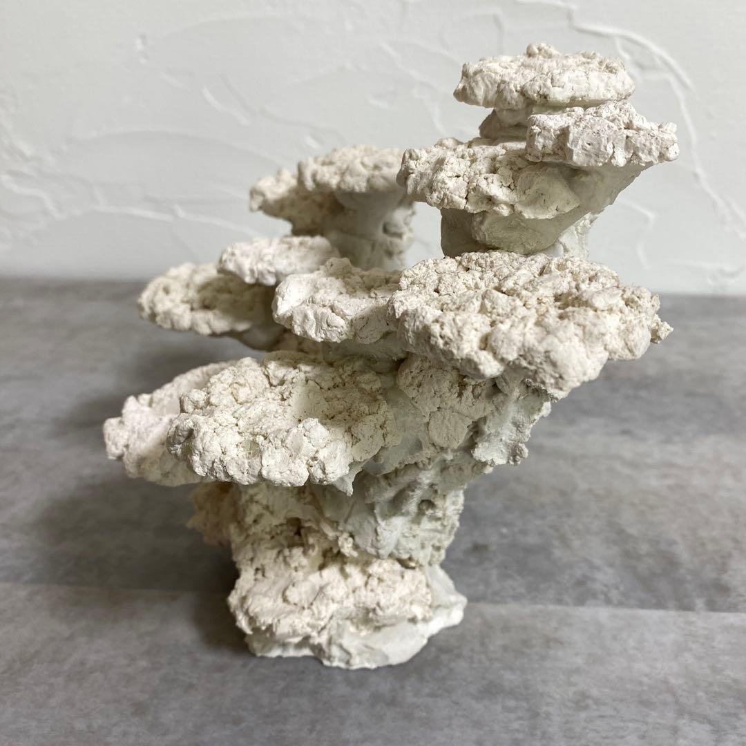 レイアウト済　ホワイト人工石 11個置ける　ライブロック　30cm水槽用