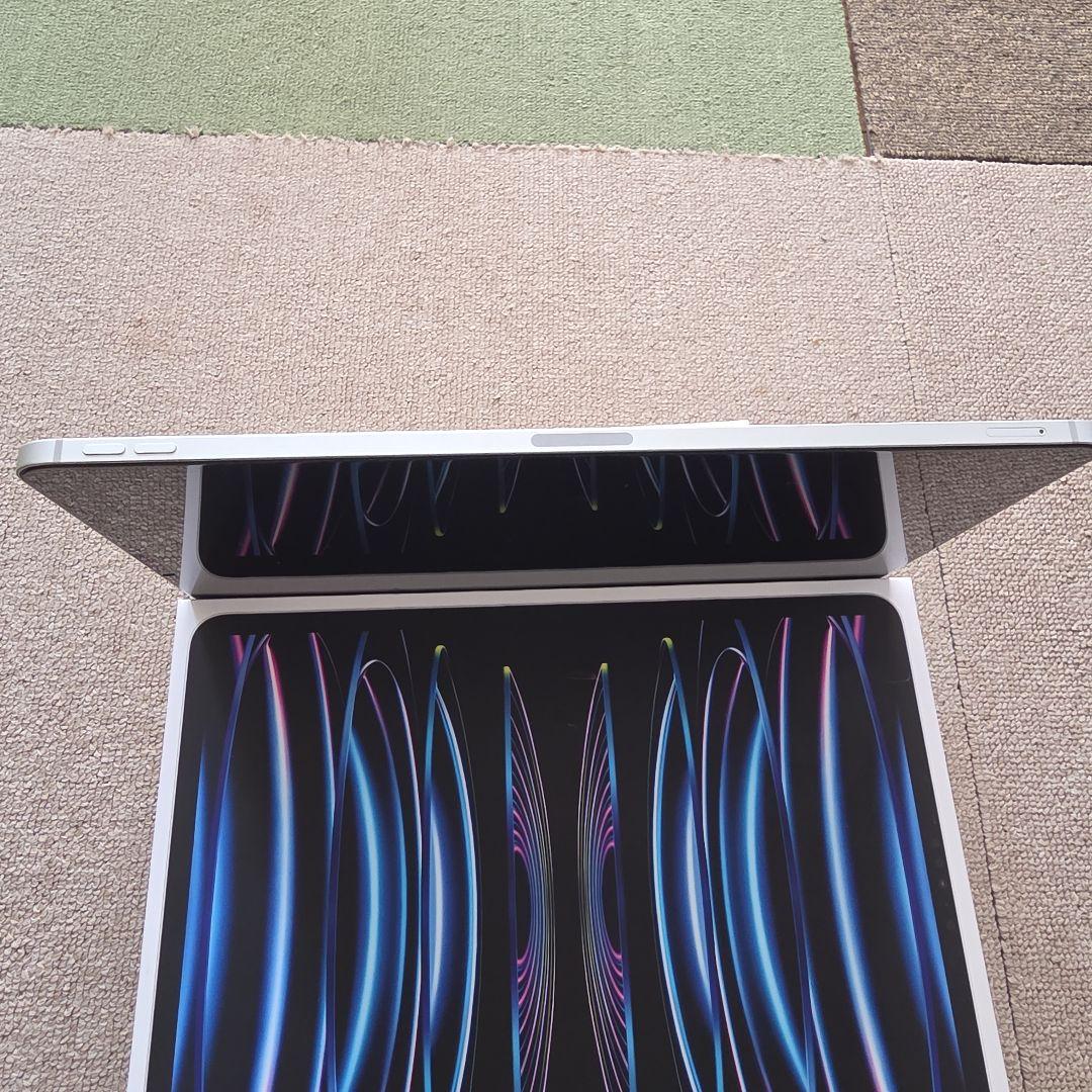 iPad本体 iPad Pro 12.9 (M2) 256GB cellular Pencil