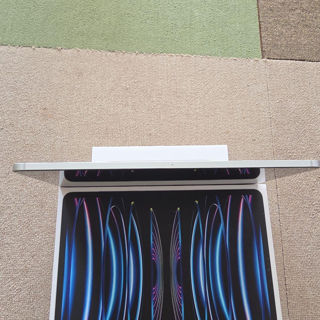 iPad本体 iPad Pro 12.9 (M2) 256GB cellular Pencil