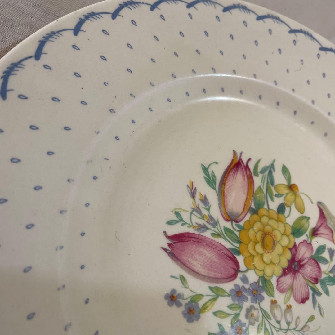 567スージークーパープレート大2枚セット、プランタ、エアログラフィックディナー