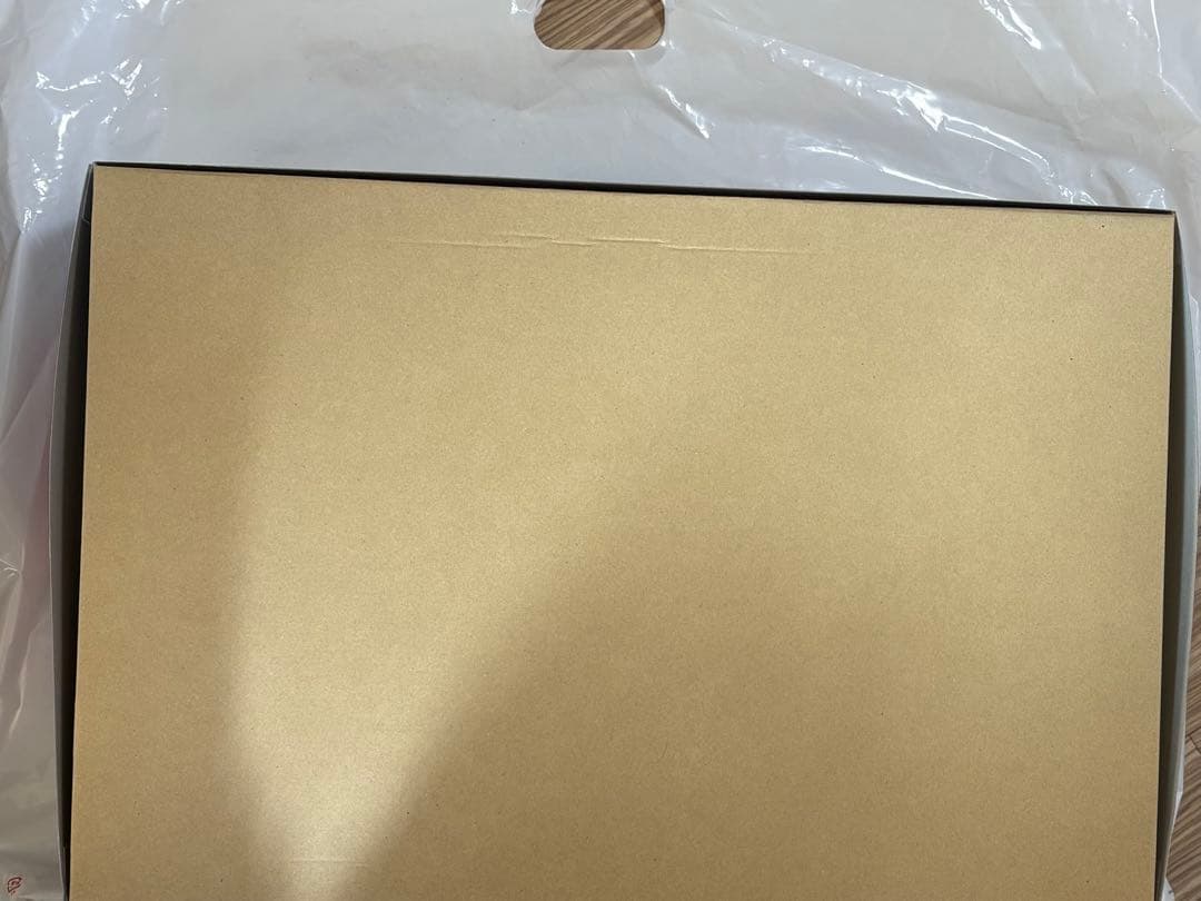 MG MSN-04 サザビー Ver.Ka 1/100スペシャルコーティング