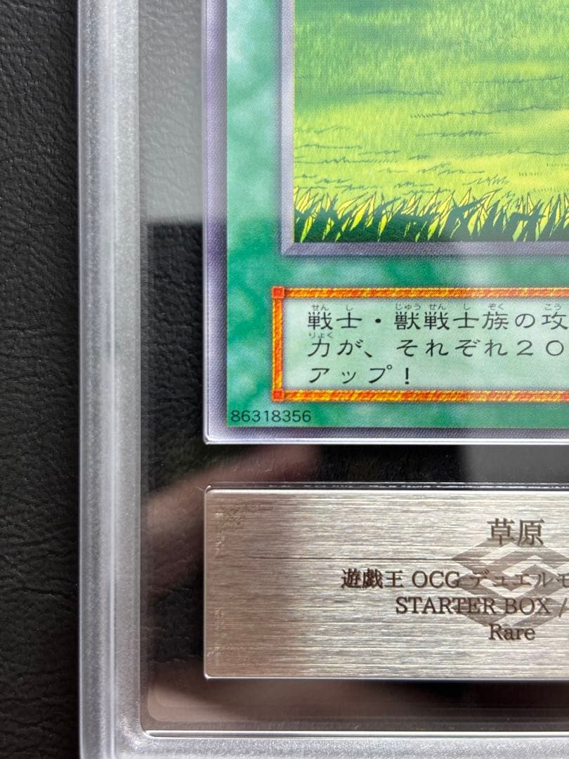 【ARS10】草原 初期レア 字レア